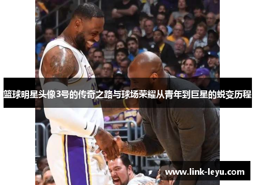 篮球明星头像3号的传奇之路与球场荣耀从青年到巨星的蜕变历程