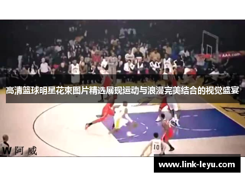 高清篮球明星花束图片精选展现运动与浪漫完美结合的视觉盛宴