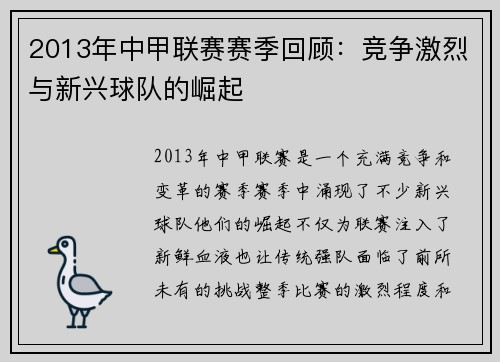2013年中甲联赛赛季回顾：竞争激烈与新兴球队的崛起